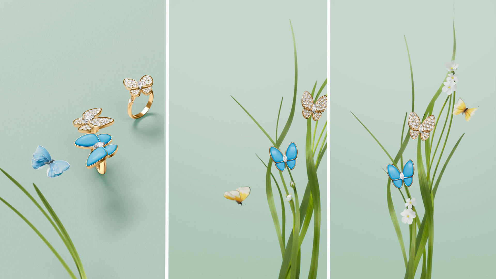 Nicolas Fouché - Motion designer & DA Digital Freelance - Van Cleef & Arpels